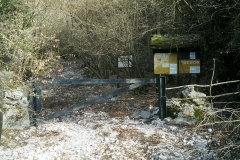 IMAG0090