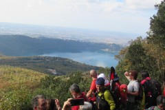 IMG_3976