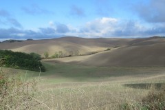 IMG_3730