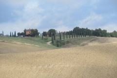 IMG_3731