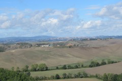 IMG_3739