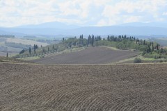 IMG_3754