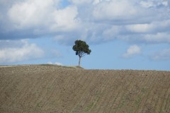 IMG_3767