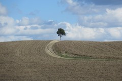 IMG_3772