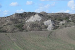 IMG_3803