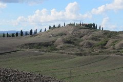 IMG_3805